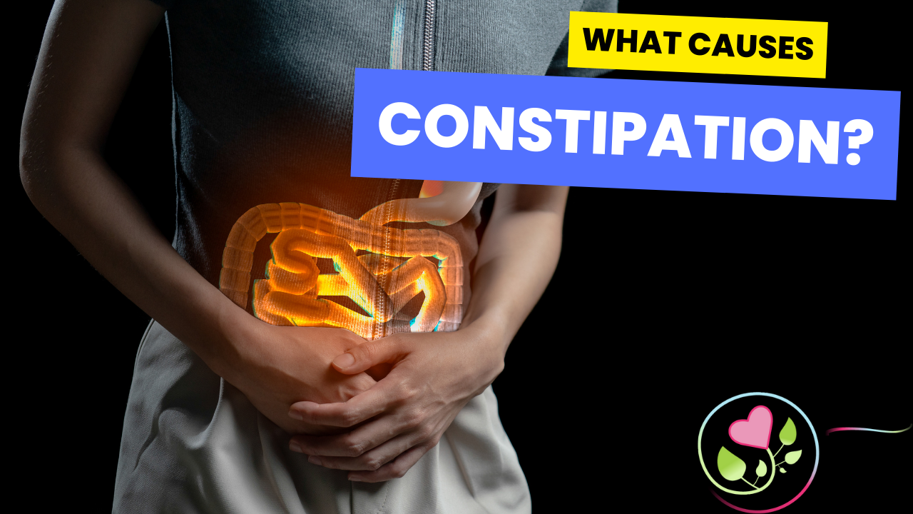 Q11 - What causes constipation - EN