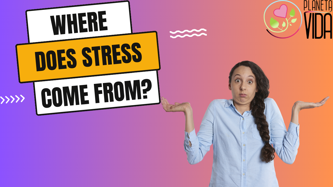 Q1 - Where does stress come from - EN