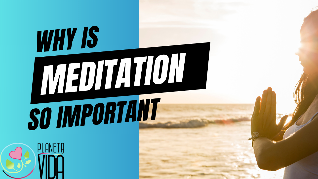 Q74 - Why Is Meditation Important - EN