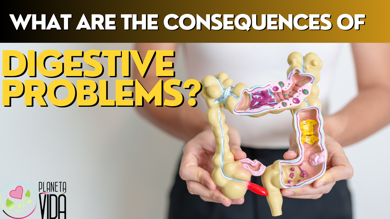 Q77 - What Are The Consequences Of Digestive Problems - EN