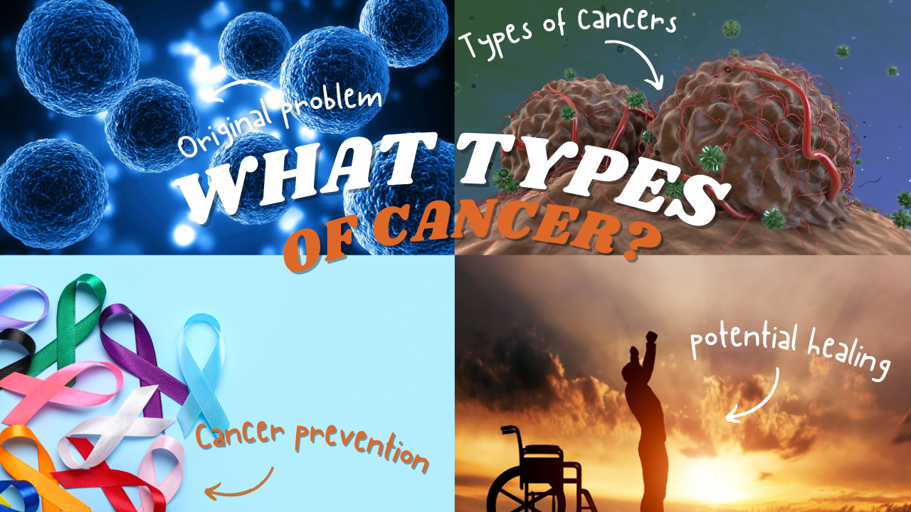 Q80 - What Are The Types Of Cancers - EN