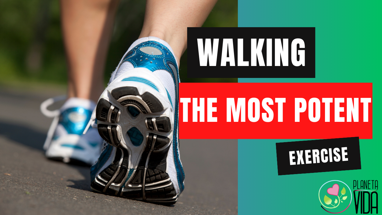 Q86 - Why Are Daily Walks The Best Exercise - EN