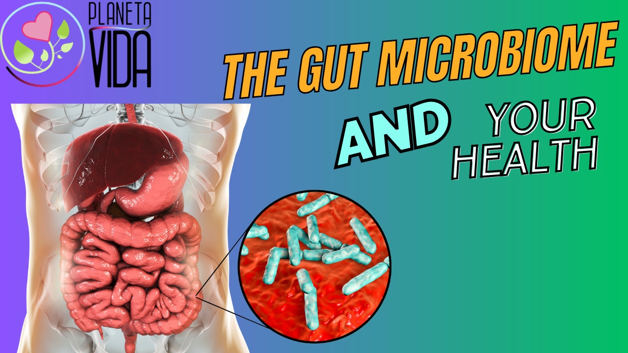 Q97 - The Gut Microbiome & Health - EN