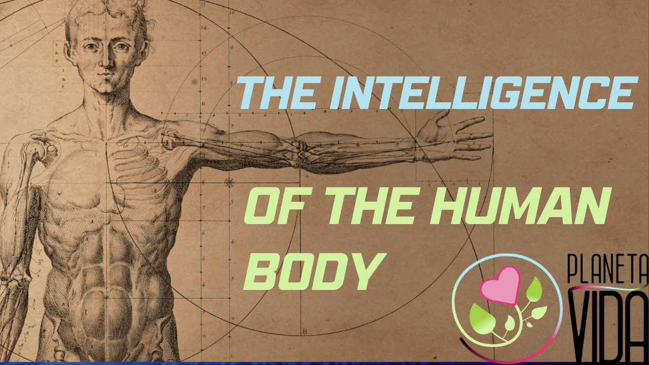 The Intelligence of the Human Body - EN